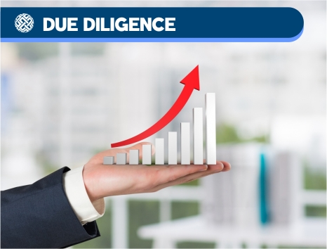 08 Due Diligence
